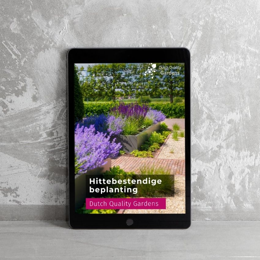 e book hittebestendige beplanting dutch quality gardens