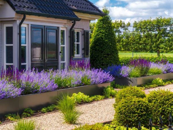 tuin laten onderhouden door dutch quality gardens