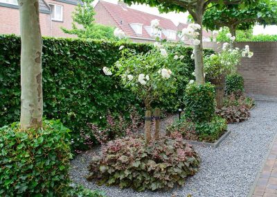 Dutch Quality Gardens Visio Vireo Klassieke Romantische Tuin In Roosendaal 1