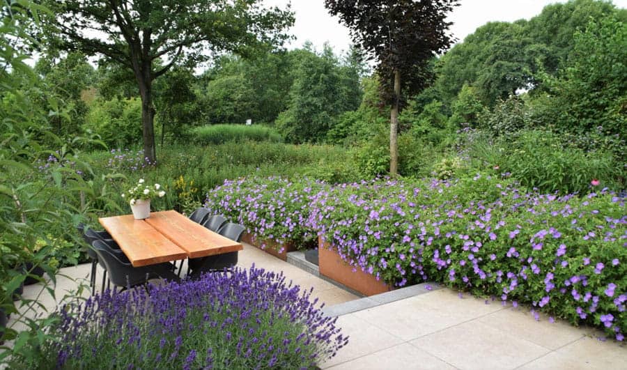 Een onderhoudsvrije tuin? 6 Tips voor minder onderhoud