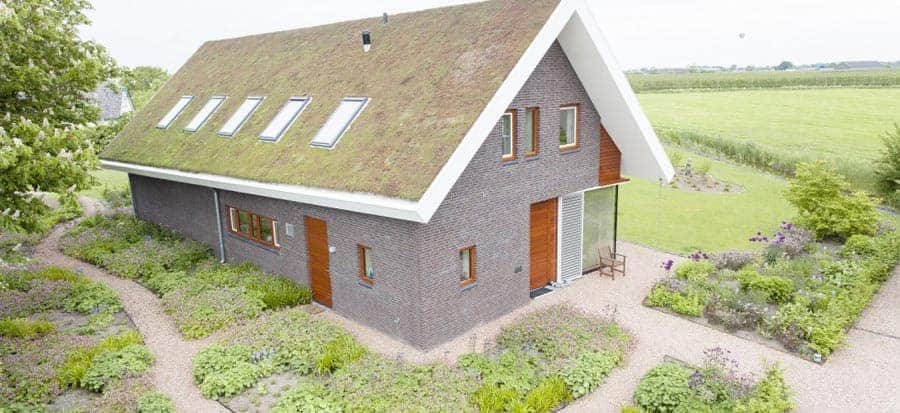 Groendak, een natuurlijke, groene daktuin of -bedekking