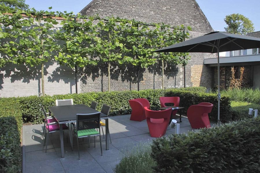 Kant en klare vormbomen