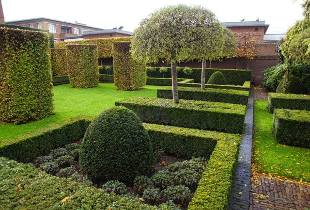 Het bestrijden van de taxuskever