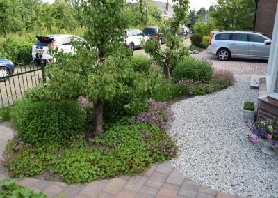 voortuin met ronde vormen dutch quality gardens mocking hoveniers (3)