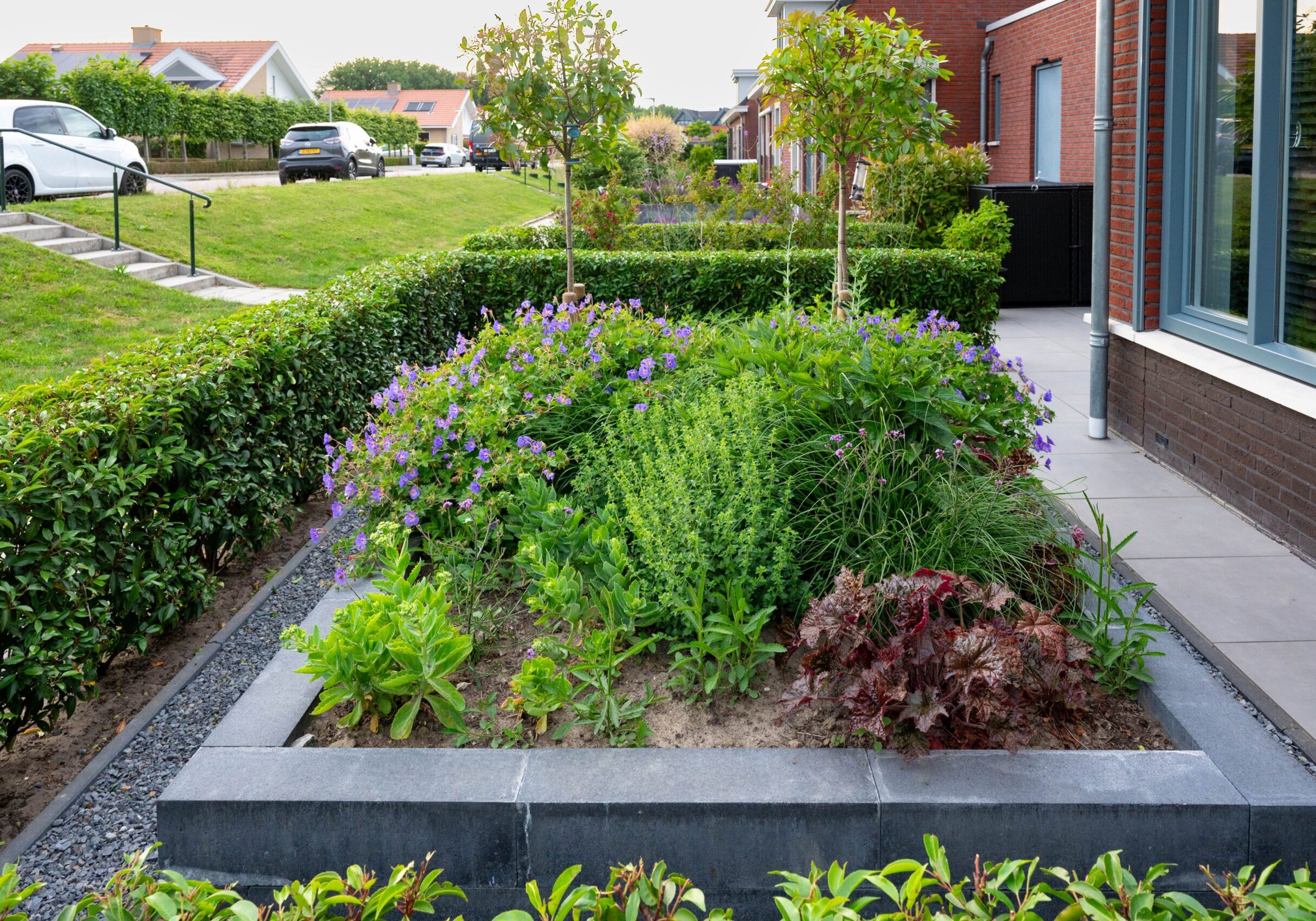 groene en onderhoudsvriendelijke voortuin (10)