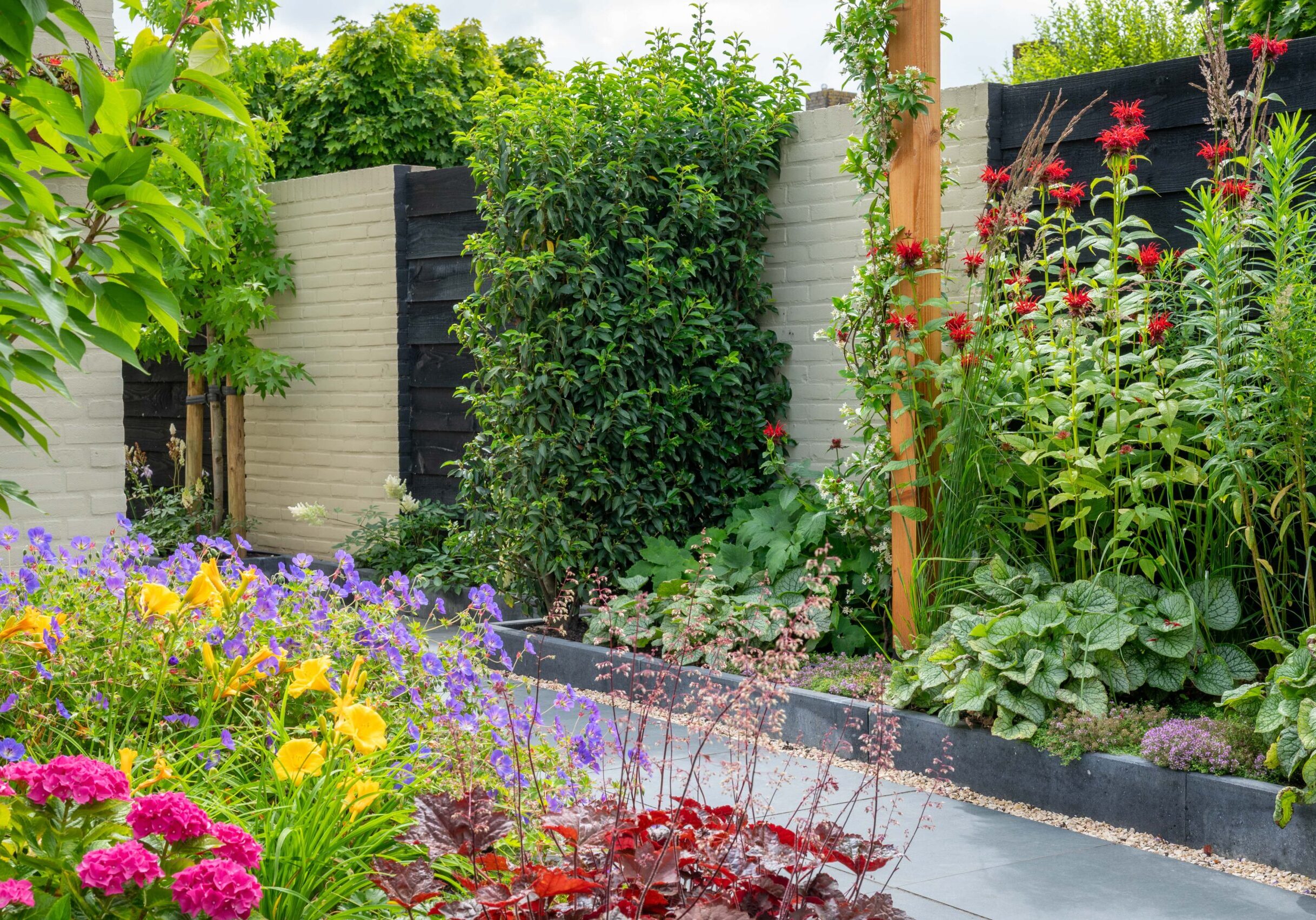 moderne landelijke bloementuin met kleurrijke borders (4)