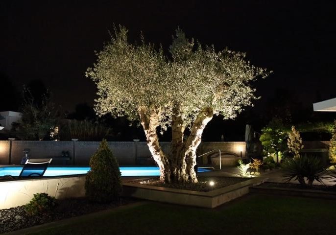 Wat licht doet voor uw tuin 1 Wat licht doet voor uw tuin 1