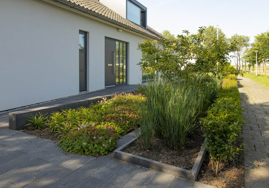 Moderne Tuin Bosman Tuinadvies 1