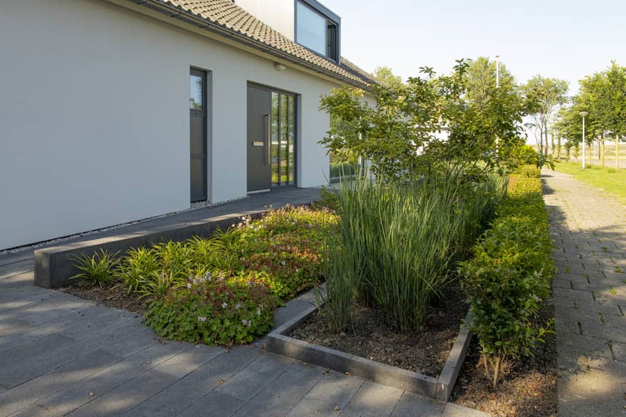 Schaduwminnende bodembedekkers